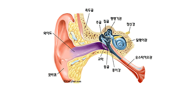 소리는 어떻게 듣게 되나요