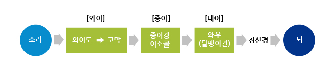 소리는 어떻게 듣게 되나요2