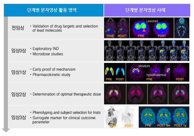 신약개발 시 분자영상의 활용