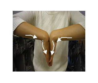 상박을 수직으로 세운 자세로 손목을 완전히 굴절시켜 1분 동안 있을 때 나타나는 정중 신경이 지배하는 수지에 통증과 지각이상 (판넬 검사 : Phalens test) 