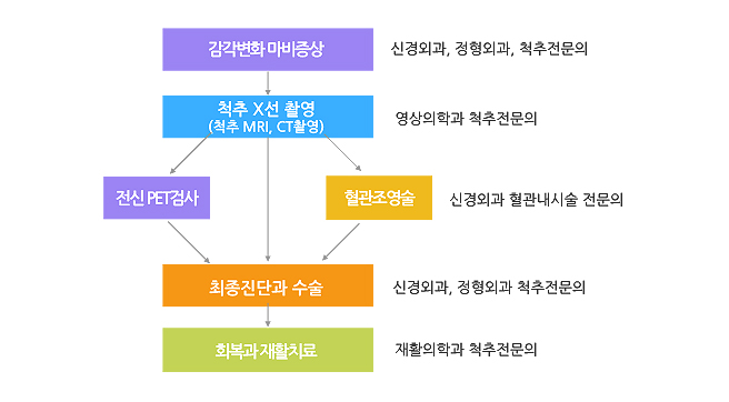 진료계획 수립과정