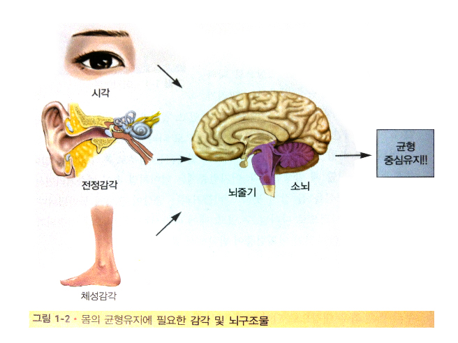 검사목적1