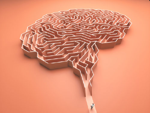 기억 메커니즘의 비밀, 뇌는 어떻게 학습할까?