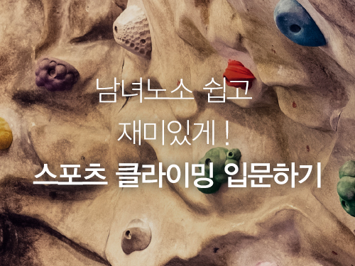 남녀노소 쉽고 재미있게! 스포츠클라이밍 입문하기