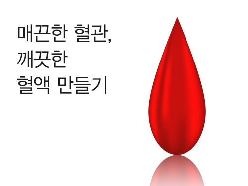 매끈한 혈관, 깨끗한 혈액 만들기