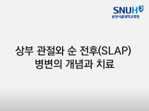 [분당서울대]상부 관절와 순 전후 병변의 개념과 치료