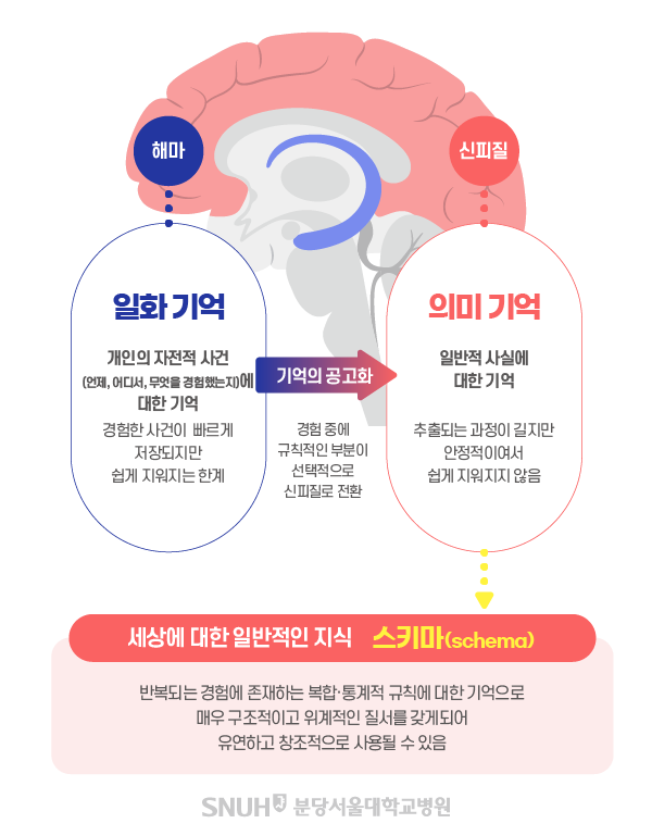 뇌 건강 유지 - 분당서울대학교병원