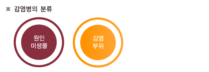 감염병은 원인 미생물 또는 감염부위에 따라 분류할 수 있다.
