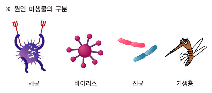 원인 미생물은 세균, 바이러스, , 기생충 등으로 구분할 수 있다