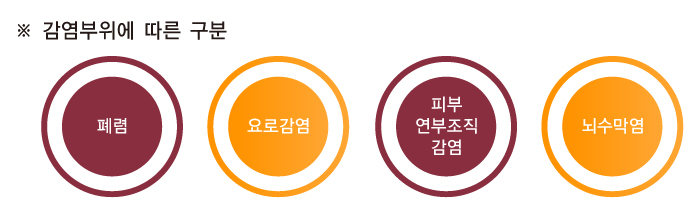  감염부위에 따라 구분하면 폐렴, 요로감염, 피부-연부조직감염, 뇌수막염 등으로 나눌 수 있다. 