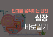 2025.07 인체를 움직이는 엔진 ‘심장’ 바로 알기!