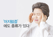2017.08 어지러움에도 종류가 있다.